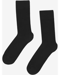 COLORFUL STANDARD - Classic Organic Socks - Lyst