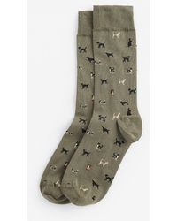 Barbour - Mavin Pheasant Socks - Lyst