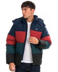 Lacoste Down and padded jackets for Men - Up to 45% off at Lyst.com
