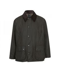 barbour jacket olive