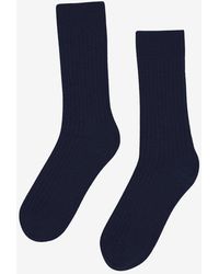 COLORFUL STANDARD - Merino Wool Blend Socks - Lyst