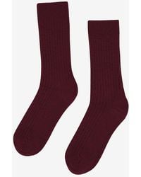 COLORFUL STANDARD - Merino Wool Blend Socks - Lyst