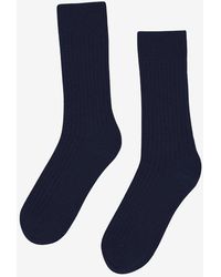 COLORFUL STANDARD - Merino Wool Blend Socks - Lyst