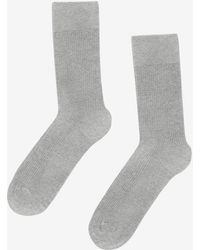 COLORFUL STANDARD - Classic Organic Socks - Lyst