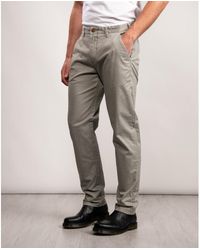 pink dog barbour coat