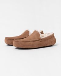 UGG - Ascot Slipper - Lyst