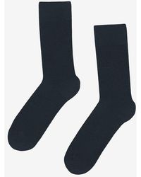 COLORFUL STANDARD - Classic Organic Socks - Lyst