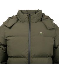 lacoste bubble coat