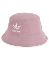 bob adidas violet