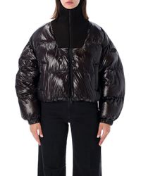 DIESEL - Cropped Puffer Jacket With Ribbed High Collar - Lyst