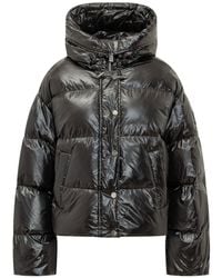 Pinko - Padded Down Jacket - Lyst