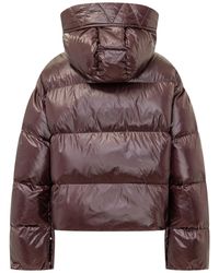 Pinko - Padded Down Jacket - Lyst