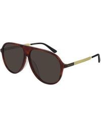 Gucci - Gg0829Sa Sunglasses Havana (S) - Lyst