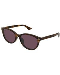 Gucci - Sunglasses Cat Eye Full Rim, Havana Frame And Lens Gg1818Sk002 - Lyst