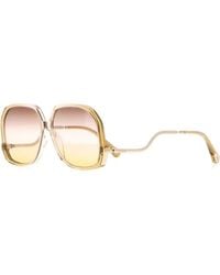 Chloé - Acetate Sunglasses - Lyst