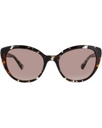 Kate Spade - Amberlee/S Sunglasses - Lyst