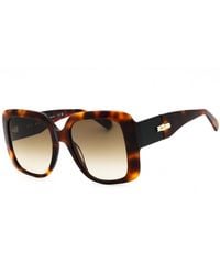 Longchamp - Lo713S Oversized Sunglasses - Lyst