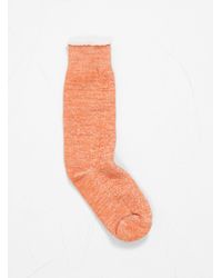 RoToTo Double Face Merino Wool Crew Socks - Orange