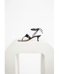dansko vicky