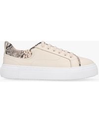 Daniel - Panny Cream Leather Reptile Trainers - Lyst