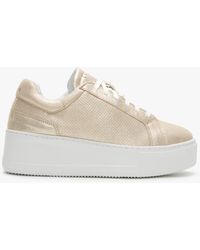Daniel - Sibley Gold Leather Perforated Flatform Trainers - Lyst
