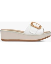 Daniel - Rowhip Woven Buckle Flatform Mules - Lyst