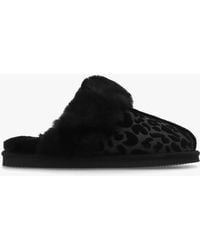 Daniel - Shut Black Leopard Sheepskin Twinface Slippers - Lyst
