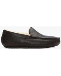 ugg ascot black leather