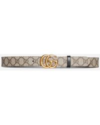Gucci belt bengal tiger sale