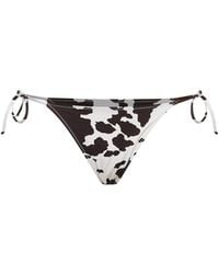 MC2 Saint Barth - Cow-Print Lycra Marielle Classic Bikini Bottom - Lyst