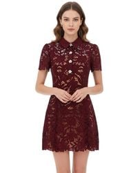 Self-Portrait - Burgundy Lace Shirt Collar Mini Dress - Lyst