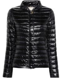 Herno - Nylon Short Down Jacket - Lyst