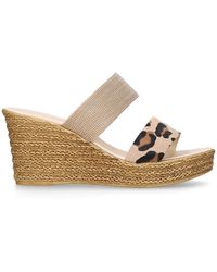 carvela stephanie