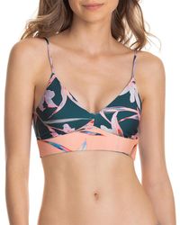 maaji lingerie