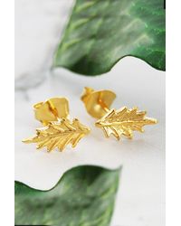 Otis Jaxon London - Holly Leaf Sterling Stud Earrings - Lyst