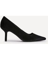 Linzi - Kat Velvet Classic Court Heels - Lyst