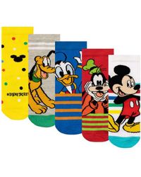 Disney - Mickey Mouse Pluto Donald Duck And Goofy Socks 5 Pack - Lyst