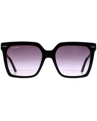 Calvin Klein - Square Gradient Ck22534S - Lyst