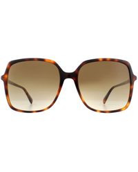 Gucci - Square Havana Brown Gradient Sunglasses - Lyst