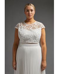 Coast - Plus Size Embroidered Cap Sleeve Top - Lyst