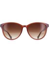 Ted Baker - Oval Gloss Crystal Amber Gradient Tb1763 Flori - Lyst