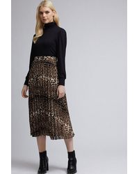 Dorothy Perkins - Black Leopard Print Pleat Midi Skirt - Lyst