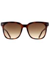 Calvin Klein - Square Havana Gradient Ck20519Sn - Lyst