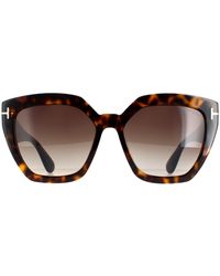 Tom Ford - Cat Eye Dark Havana Gradient Roviex Brown Ft0939 Phoebe Sunglasses - Lyst