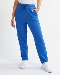 Alse Studio - 100% Premium Cotton Jogger - Lyst