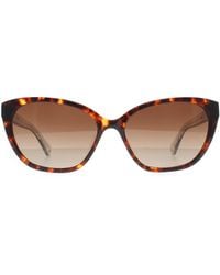 Kate Spade - Cat Eye Havana Gradient Polarized Philippa/G/S - Lyst
