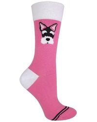 Sock Snob - 1 Pack Novelty Cat & Dog Patterned Socks - Lyst