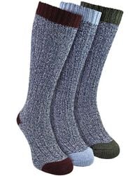 Sock Snob - 3 Pairs Extra Long Warm Wool Socks - Lyst