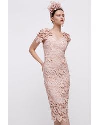 Coast - Lisa Tan Lace Pencil Dress With Cape Sleeve - Lyst