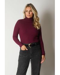 Solo - Ribbed High-Neck Jumper - Lyst